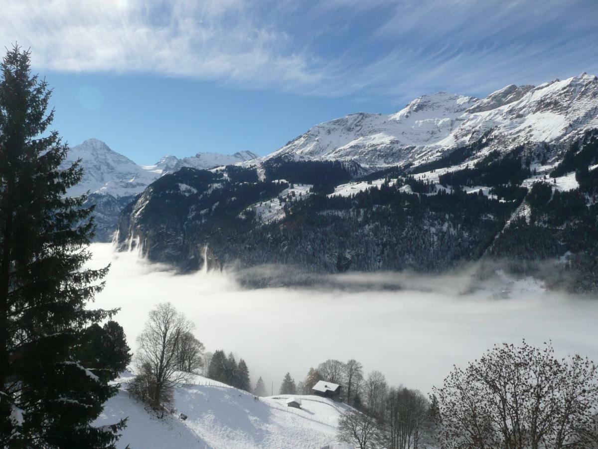 Holiday Flat #1, Chalet Aberot, Wengen, Switzerland Екстер'єр фото
