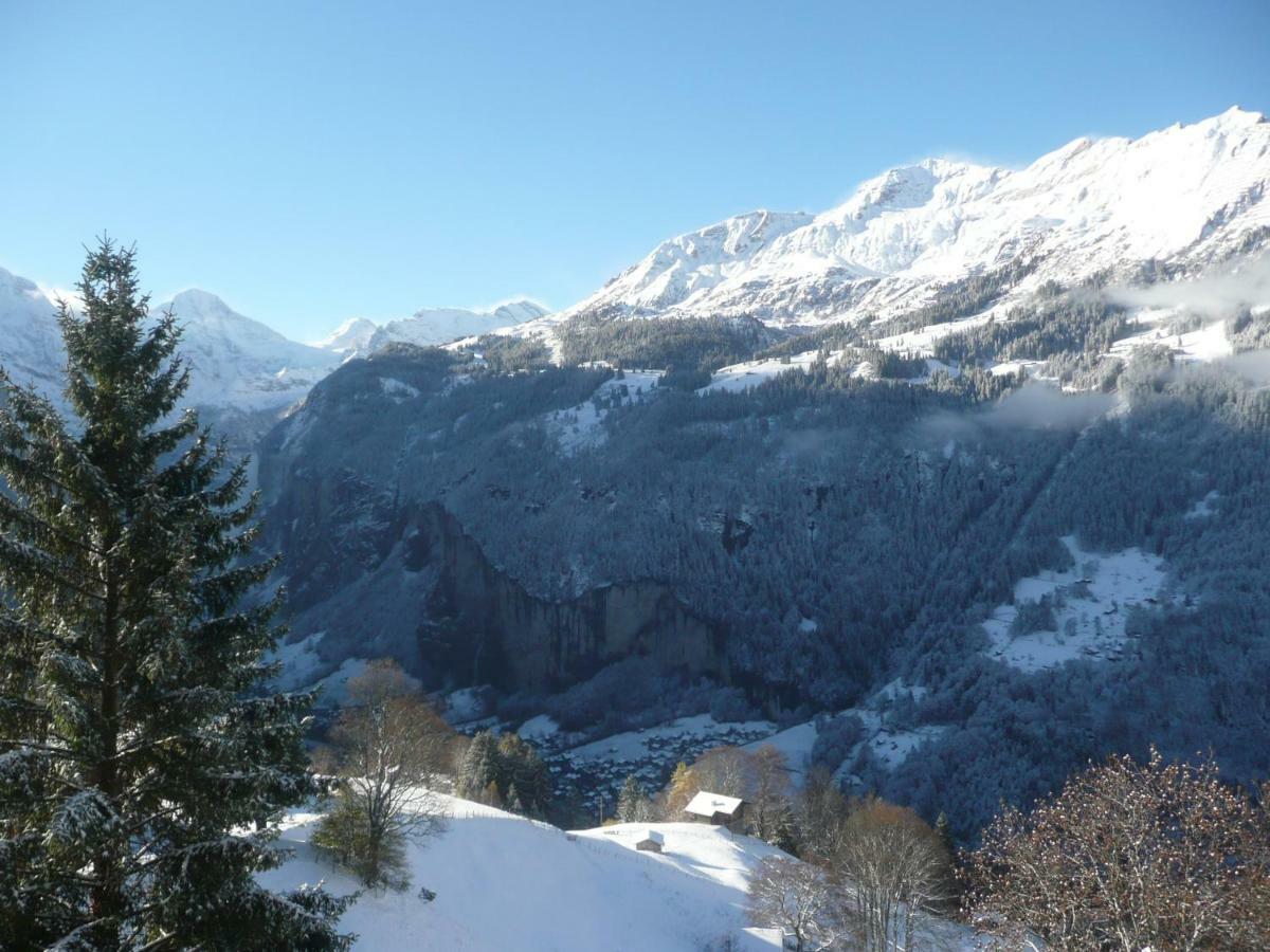 Holiday Flat #1, Chalet Aberot, Wengen, Switzerland Екстер'єр фото